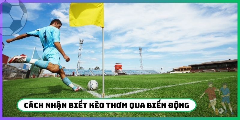 Cách nhận biết kèo thơm bị bỏ sót qua biến động