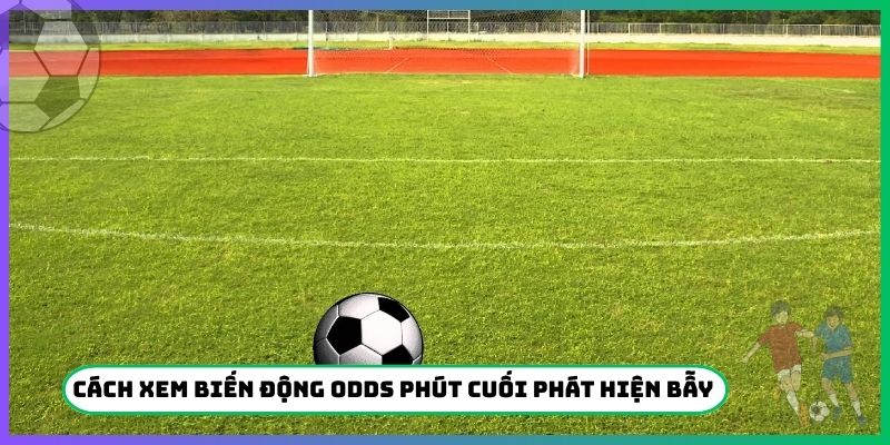 Cách xem biến động Odds phút cuối phát hiện bẫy kèo