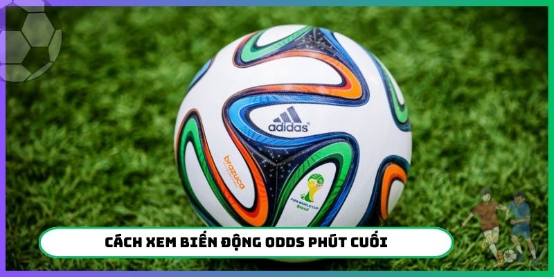 Cách xem biến động Odds phút cuối