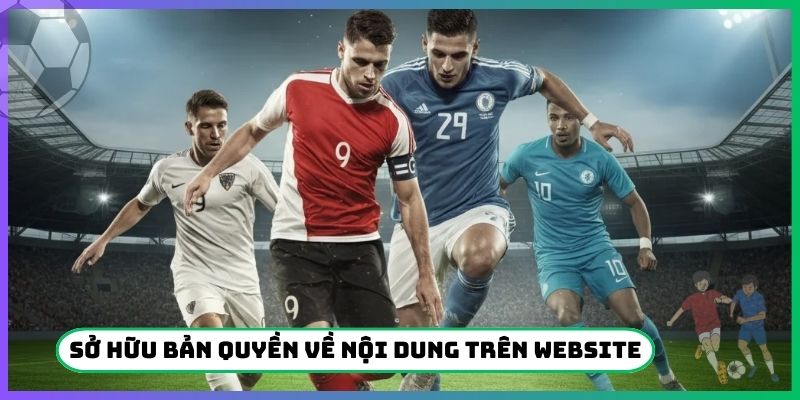 Sở hữu bản quyền về nội dung trên website