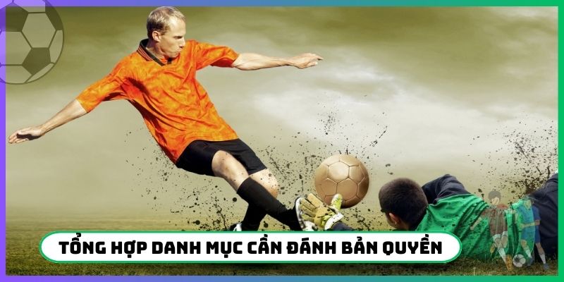 Tổng hợp danh mục cần đánh bản quyền